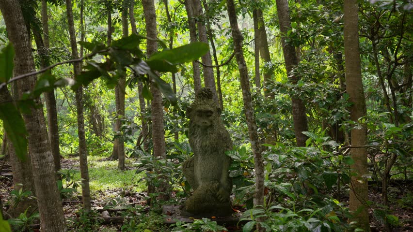 Monkey forest Indonesia sculpture Bali Island nature Indonesia Southeast Asia