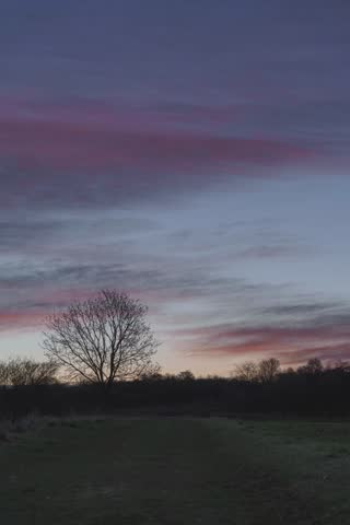 Sunset over a field with a solitary tree and vibrant sky