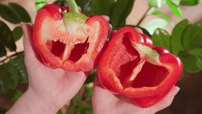 Hands open red bell pepper into two halves close-up top view - Powered by Shutterstock - Get 15% off with code: PIKWIZARD15