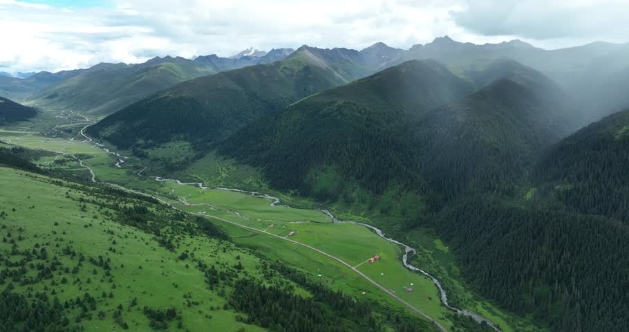 Aerial footage of beautiful high altitude forest grassland mountain landscape