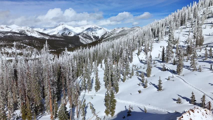 A scenic drone flyover of snowy alpine ridgeline with frozen trees, and mountains in background under clear sky in Monarch Pass, Colorado