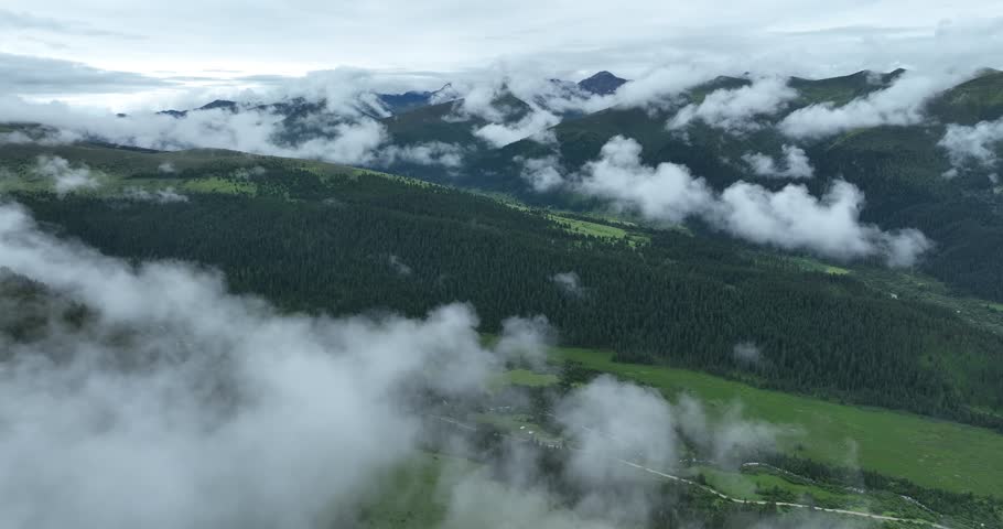 Aerial footage of beautiful high altitude forest grassland mountain landscape