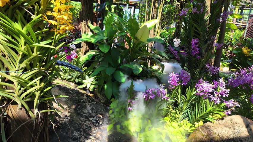 Tropical nature Nong Nooch Botanical Garden Pattaya Thailand tourist spot