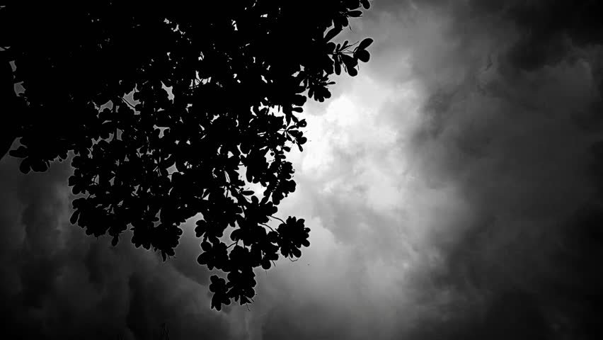 A dramatic black and white silhouette of a tree beneath stormy skies, evoking moodiness and contrast in nature.