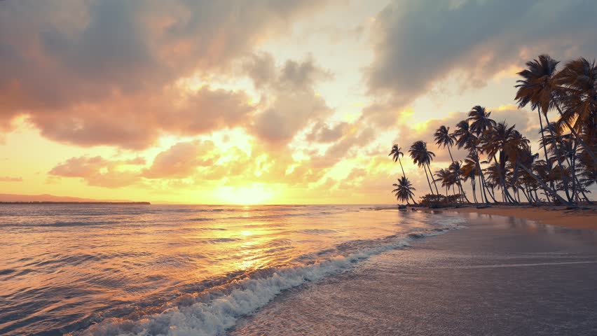 Bright summer sea sunset on the beach of coconut palms. Palm trees on the seashore. Waves crashing on the sand on the sandy beach. Sunset over the sea amazing landscape.