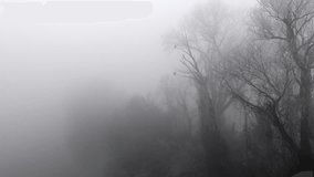 Dark, misty and cold swamp with raven birds, gothic scene - Powered by Shutterstock - Get 15% off with code: PIKWIZARD15