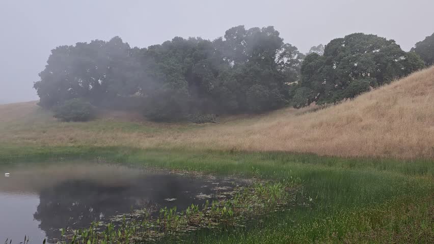 misty morning fog flowing over a pond and countryside in the morning