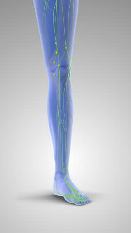 Excess Body Fluid Leading to Pitting Edema