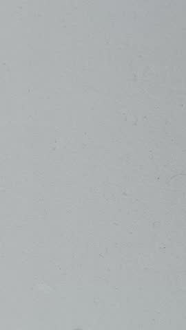 Phereoeca uterella is a species of moth in the form of a cocooned caterpillar that causes itching and irritation to the skin. Found in dark and dusty places, such as walls, under beds, and cupboards.