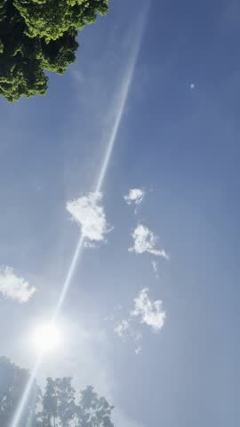Lapse of birds tweeting under a sunny sky day