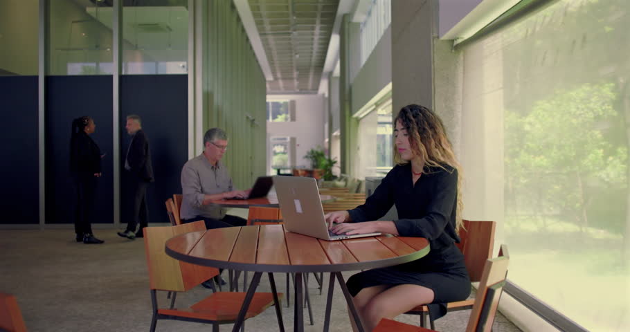 Shutterstock Video