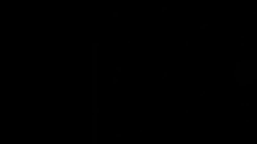 Shutterstock Video