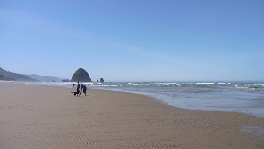 Couple play with dog at Cannon Beach, Oregon on sunny day.