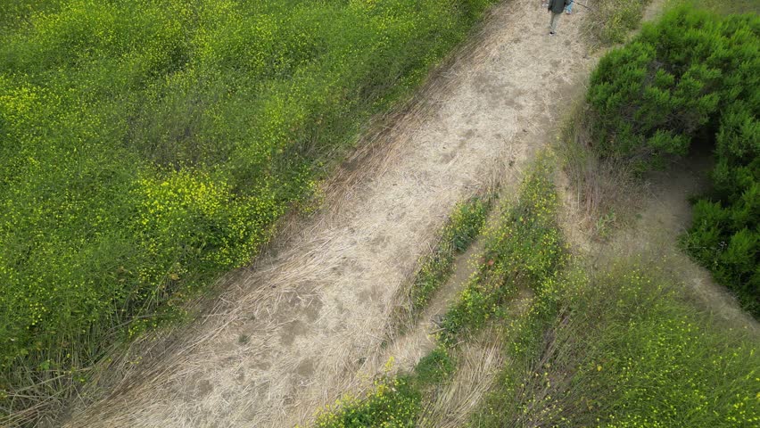Panoramic view of the lush, rolling hills in Yorba Linda, California, showcasing vibrant patches of wildflowers and rich natural landscapes.