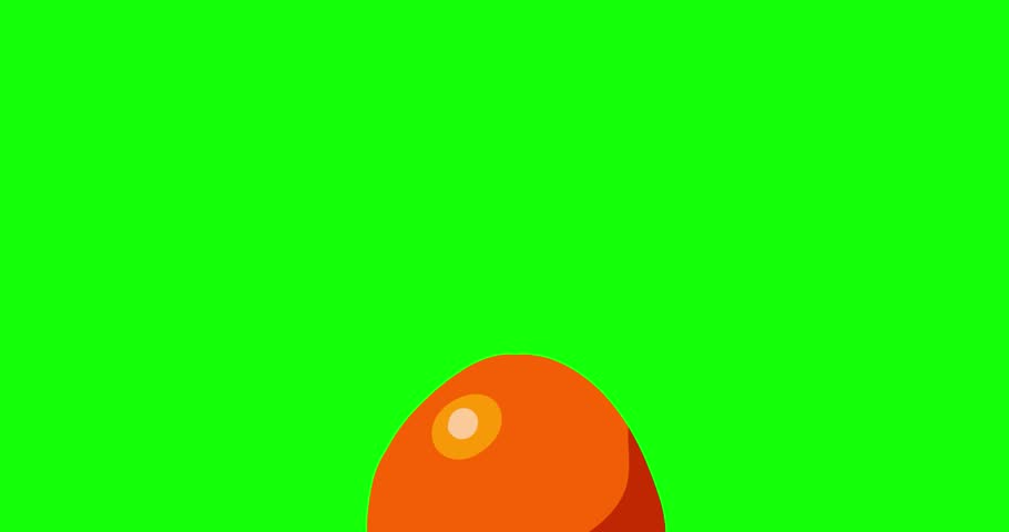 Shutterstock Video
