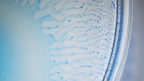 Alcoholic ink spreading in petri dish, abstract macro view with blue flowing lines - Powered by Shutterstock - Get 15% off with code: PIKWIZARD15