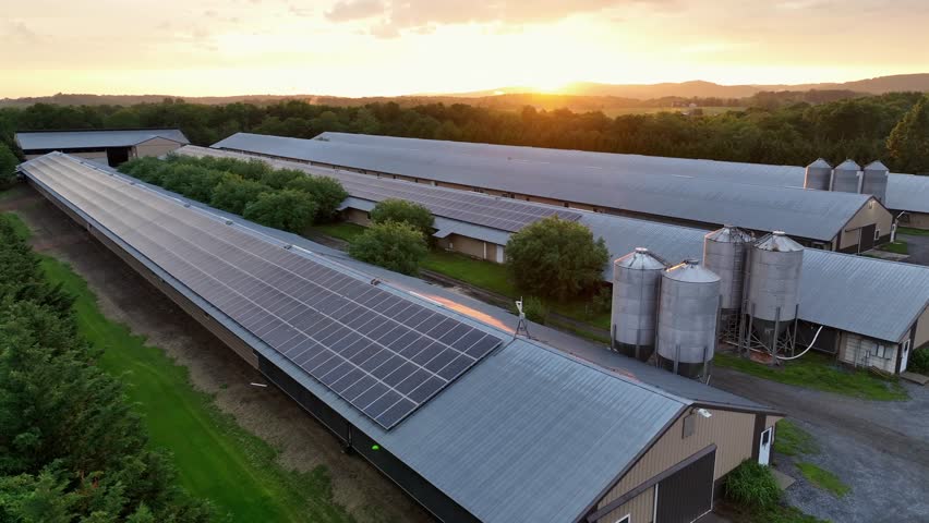 Solar panels installed on roof of barn building during golden sunset. Aerial flyover wide shot. Modern Rural farmstead in Pennsylvania,USA. Peaceful countryside farm in United States.