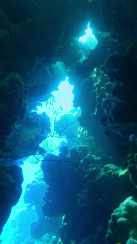 Vertical footage, Bright sunbeams illuminates walls of coral cave and marine life inside, Slow motion, Diving in coral caves with dance sun rays, adventure and marine caves exploration concept