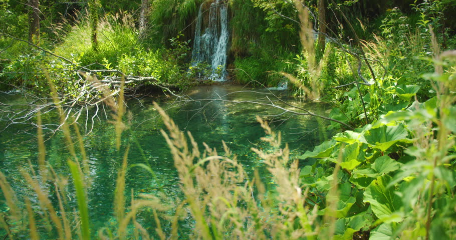Tranquil lake with small waterfall flowing into it surrounded by dense forest foliage