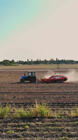 Potato harvesting. potato harvester. Farm machinery, tractors and potato harvesters, are harvesting potatoes, on a farm field. Smart farming. aerial view. sunny autumn day