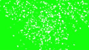 woman, success, studio, sign, showing, ovation, language, joy, handclap, hand, clap, chroma key, cheering, celebration, background, approval, applause, template, perfection, people, nobody, mockup, mo - Powered by Shutterstock - Get 15% off with code: PIKWIZARD15