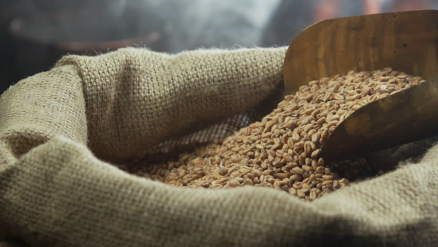 Close-up, dry golden barley malt pouring into a bag. Craft beer production. Texture of ripe wheat grains. Brewery concept. Harvesting and farming, grocery. Slow motion video 4K