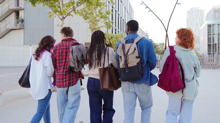 A diverse group of friends walking side by side on campus, displaying unity and companionship among students in a lively atmosphere, representing youth and energy in their journey through education.