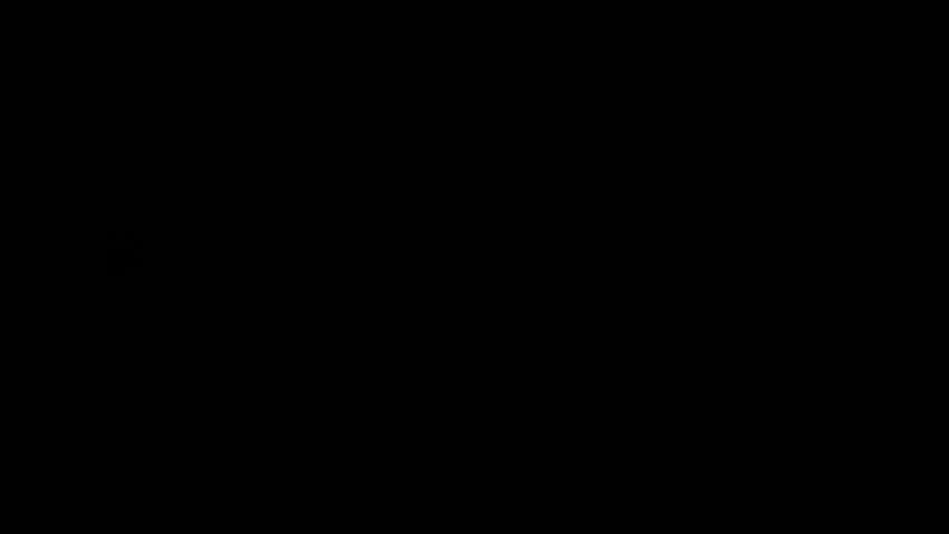 Shutterstock Video