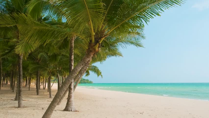 Tropical sandy beach with coconut palm trees with turquoise water ocean with nobody, Phu Quoc island, Vietnam, Asia. Beach holidays, summer travel, tropical resort and retreat concept