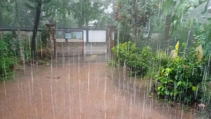 The monsoon season in Kerala, a tropical paradise, is a period of vibrant transformation. From June to September, the state experiences the South-West Monsoon, known as Edavappathy