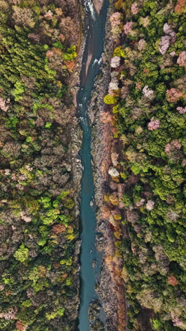 Aerial drone view of the Katsura River in Arashiyama, Japan in daylight