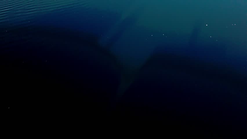 Tranquil beauty of Lions Lighthouse and ShoreLine Aquatic Park in Long Beach, CA at dawn with calm waters creating perfect reflections