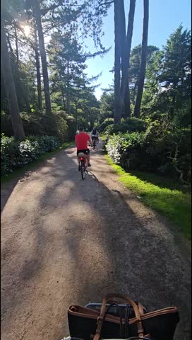 Leisurely Cycling Through Green Hamburg Stadtpark – POV Perspective.