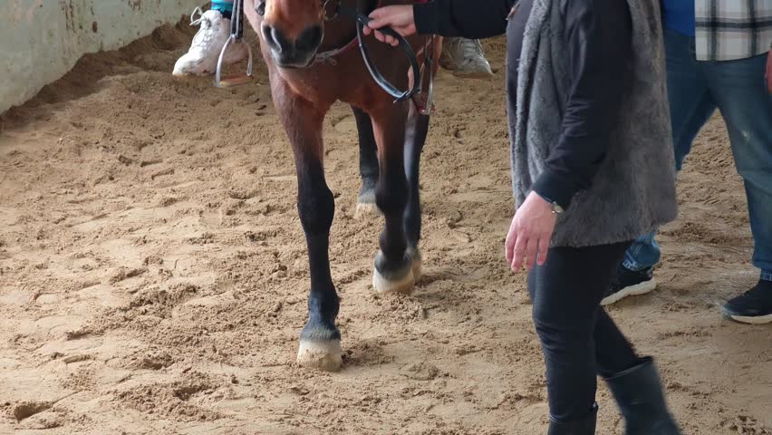 Horse riding student practicing with instructor inside a riding school