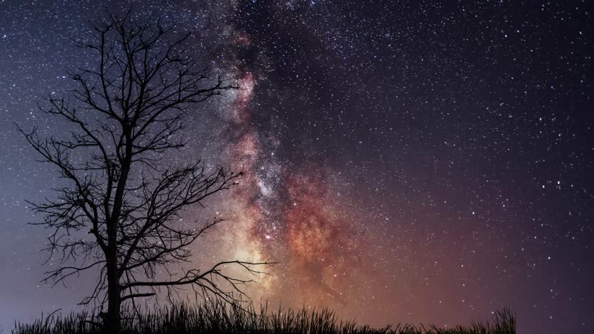 Beautiful night sky time lapse with Milky Way galaxy over trees silhouette. Night tight landscape starry sky.