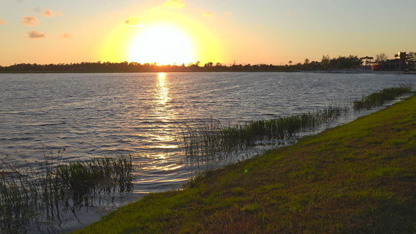 Florida evening nature. Wetland lake at sunset