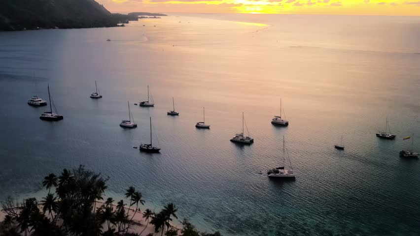 Tahiti during sunset, with multiple sailboats anchored in the water.
The drone captures the tranquil ocean surface reflecting warm dusk colors, soft light.