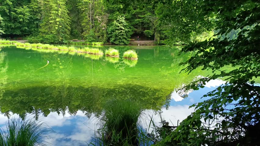 Relaxing at the lake Hechtsee in Kufstein, Tyrol, Austria with stunning turquoise waters and lush greenery on a sunny day