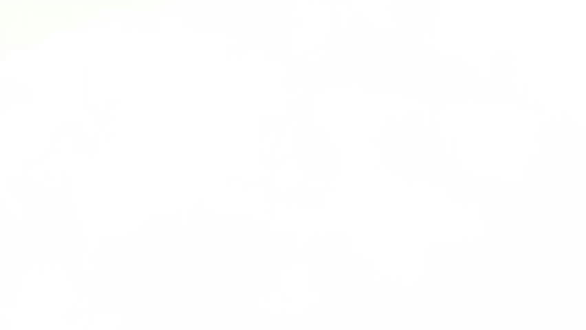 Indian flag tricolour watercolour background 4k video