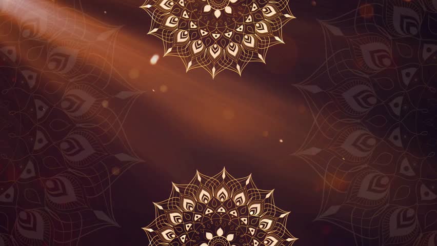 Shutterstock Video