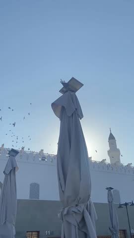 Flock of Pigeons Flying Over Quba Mosque in Madina