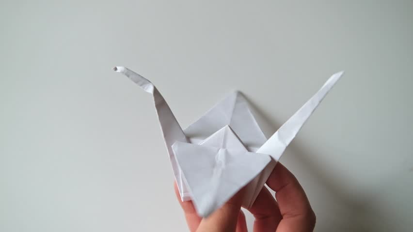 Folding a paper origami white crane, close-up