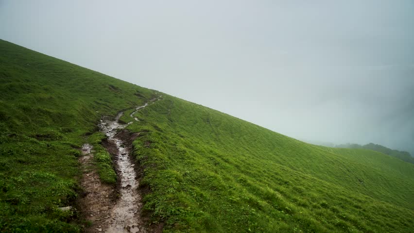 A misty morning in the mountains of Ali Bedni Bugyal, Uttarakhand, India.