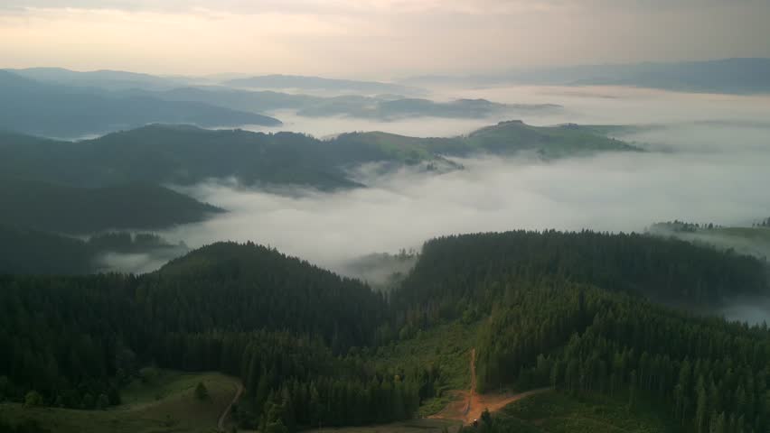 Flying over green forest at sunny summer day with the mountains on horizon with glowing clouds and fog in the valley. Carpathian mountains, Europe