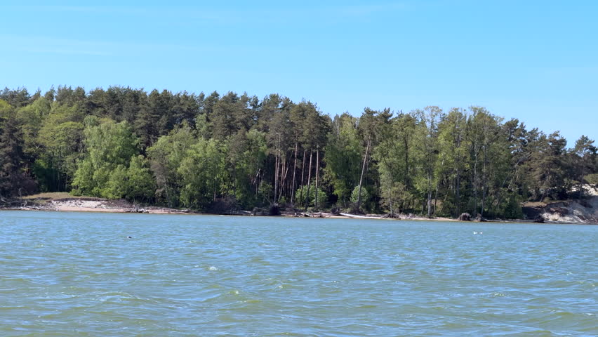 View from the sea of a forest area with pine trees on the dunes