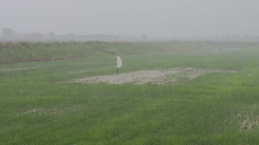 Heavy rain on the green rice fields