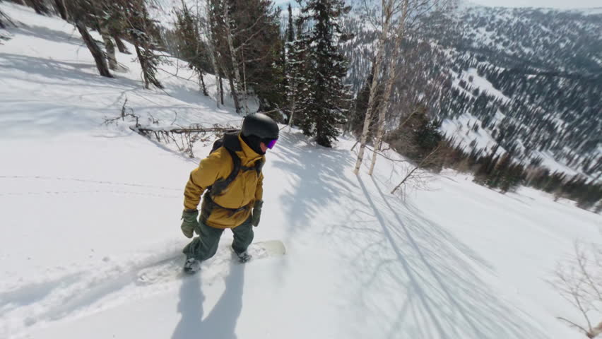 Snowboarder in backcountry rides fast between pine trees with powder spraying in snowy forest performing jumps and turns concept of action winter sport adrenaline and outdoor freedom.