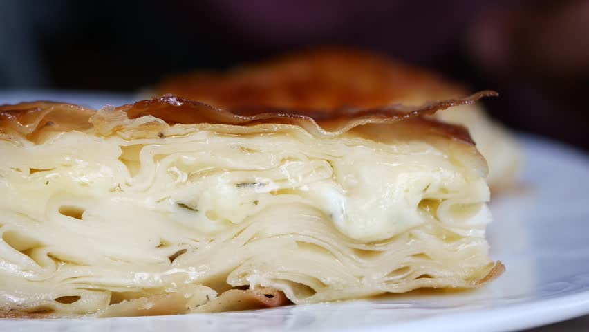 Traditional Turkish Cuisine Pastries borek on a plate 
