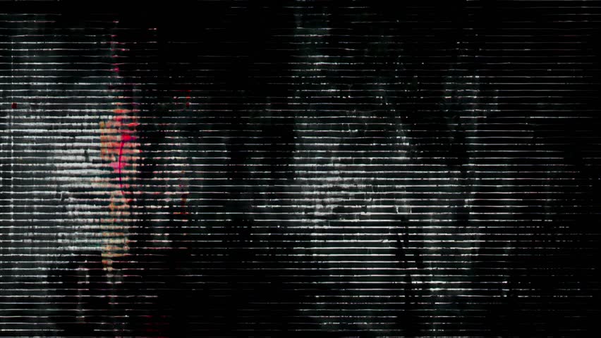 Shutterstock Video