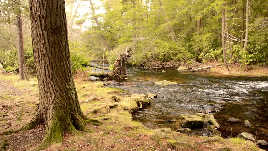 Mountain Stream, Caron County, Pennsylvania